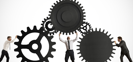 Consultancy on Fleet Management and Purchasing